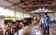 Waspada! DKPP Batam Perketat Pengawasan Obat Hewan, Temukan Obat Manusia untuk Ternak