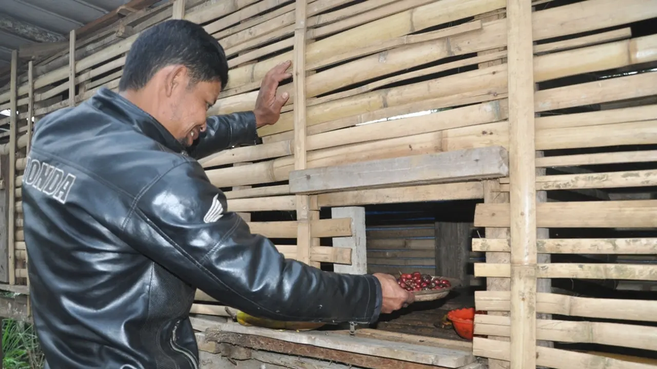 Biji kopi khas Pagaralam yang akan dimakan oleh Luwak (Liputan6.com / Nefri Inge)