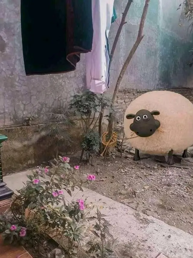 6 Editan Foto Sembelih Hewan Kurban saat Iduladha Ini Bikin Ngakak