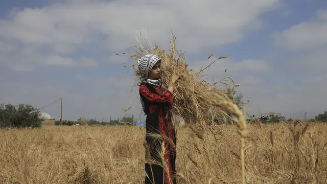 Sejarah Khan Younis, Kota di Tenggara Palestina yang Dibom Israel di Bulan Ramadhan