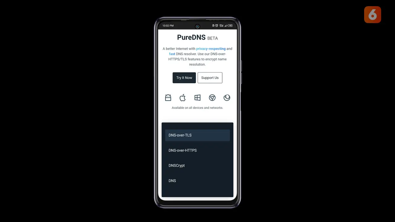 PureDNS adalah layanan Secure DNS buatan pengembang indie lokal