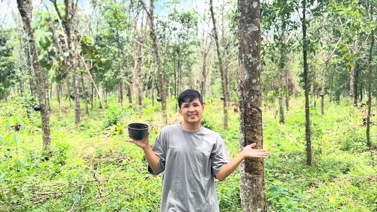 Penampakan Kebun Karet Milik Jirayut, Punya Luas Nyaris 1 Hektar