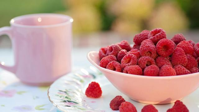 Ilustrasi Raspberry (sumber: pixabay)