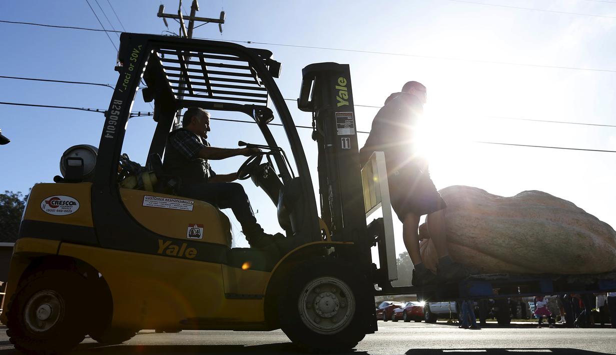 Pekerja menggunakan forklift untuk memindahkan labu pada kontes Safeway World Championship Pumpkin Weigh-Off ke-42 di Half Moon Bay, California, Senin (12/10). Acara tahunan tersebut memperlombakan hasil panen berupa labu raksasa. (REUTERS/Stephen Lam)