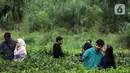 Muda mudi berfoto di Perkebunan Kebun Teh kawasan Puncak, Kabupaten Bogor, Jawa Barat, Minggu (31/5/2020). Meski Pemkab Bogor memperpanjang masa Pembatasan Sosial Berskala Besar (PSBB) hingga 4 Juni namun wisatawan tetap memadati kawasan wisata kebun teh. (Liputan6.com/Helmi Fithriansyah)