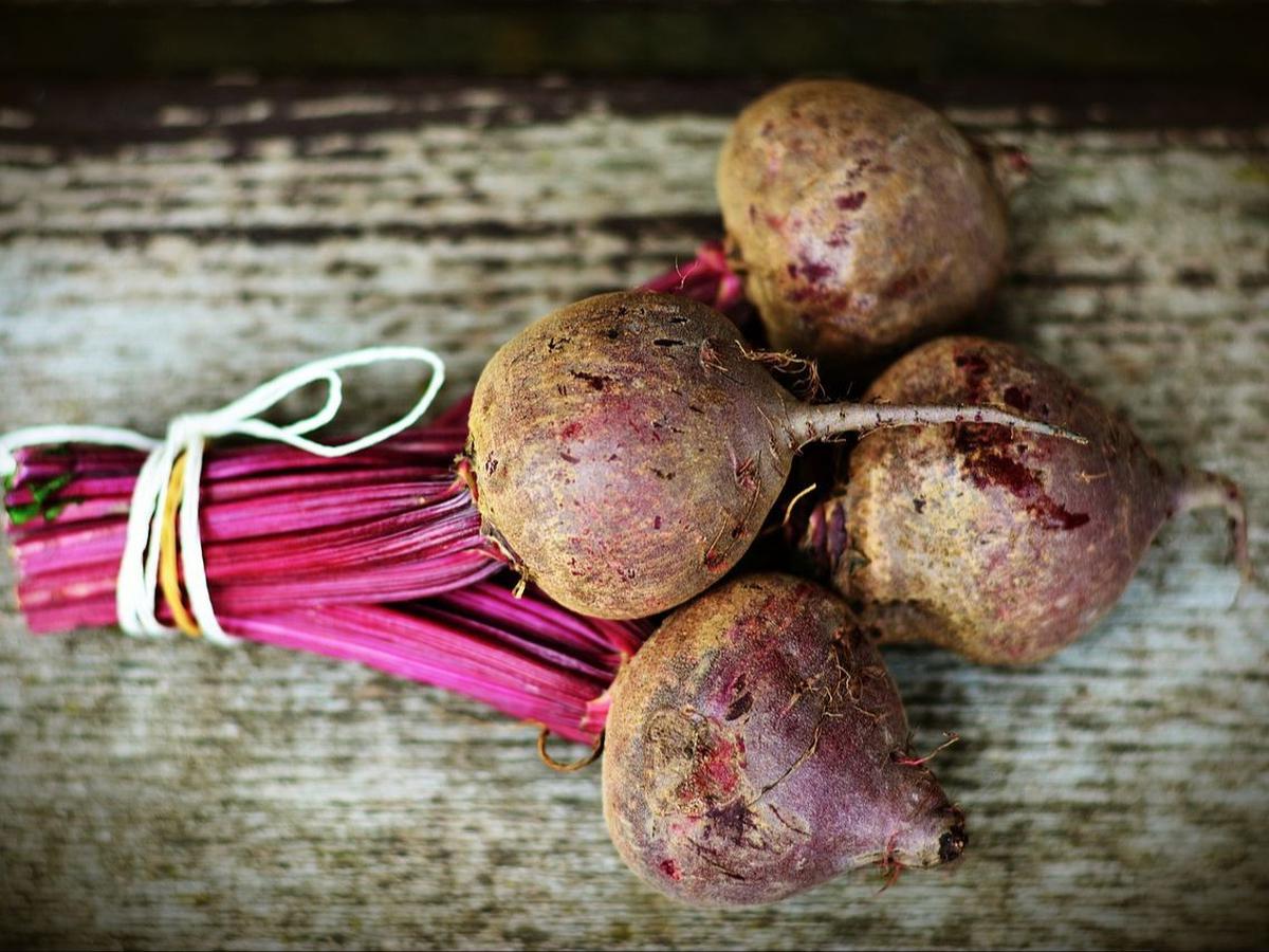Manfaat Buah Bit untuk Ibu Hamil