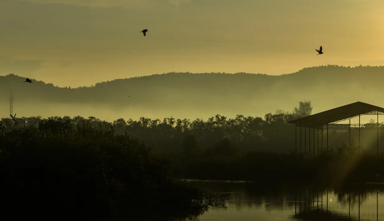 Burung kuntul terbang saat matahari terbit pada Hari Bumi di pantai Kajhu, provinsi Aceh (22/4/2021). Hari Bumi adalah acara tahunan yang dirayakan di seluruh dunia pada 22 April untuk menunjukkan dukungan bagi perlindungan lingkungan. (AFP/Chaideer Mahyuddin)