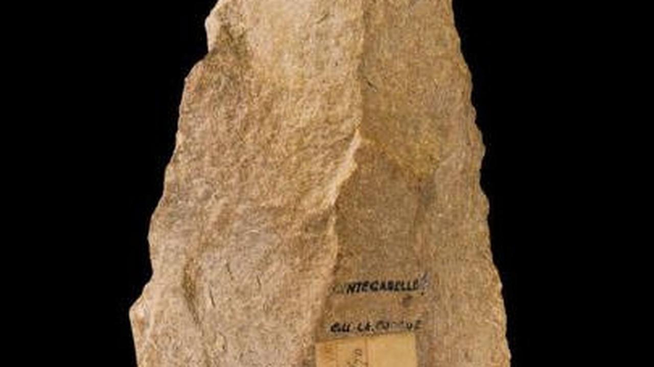 Mengenal Kapak Perimbas: Asal, Fungsi, dan Jenisnya