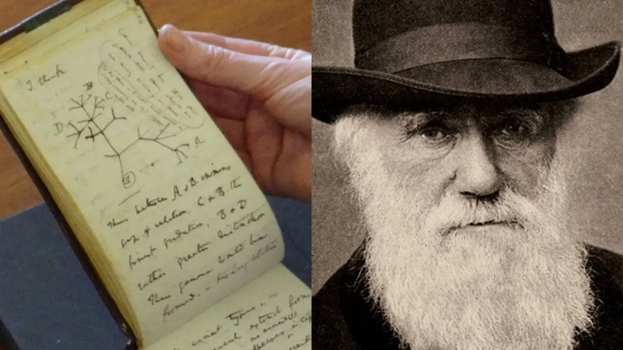 Buku Catatan Teori Evolusi Darwin