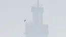 Burung terbang menenbus kabut asap yang menutupi Sydney pada Selasa (19/11/2019). Sydney diselimuti kabut asap saat kebakaran hutan di timur Australia menyebabkan tingkat polusi di kota terbesar Australia itu naik tajam. (AP Photo/Rick Rycroft)