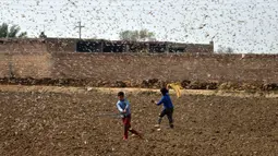 Anak-anak berusaha menghindari serbuan belalang di Distrik Okara, Provinsi Punjab, Pakistan timur (15/2/2020). Serangan belalang terhadap tanaman telah menyebabkan kerugian finansial yang besar bagi para petani di beberapa wilayah negara tersebut. (Xinhua/Str)