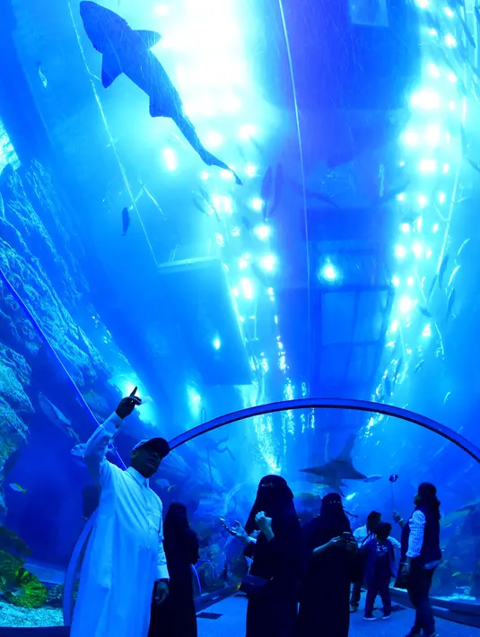 Wisatawan mengunjungi akuarium Dubai Mall di pusat kota Dubai, Uni Emirat Arab pada Rabu (2/1). Dubai Mall aquarium ini merupakan akuarium dalam mal yang disebut sebagai yang terbesar di dunia. (GIUSEPPE CACACE / AFP)