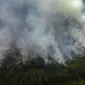 Kebakaran melanda puluhan hektare kawasan penangkaran gajah di Taman Nasional Tesso Nilo (TNTN) Kabupaten Pelalawan, Riau. (Liputan6.com/M Syukur)
