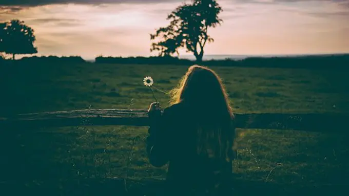 Ilustrasi./Copyright pixabay.com