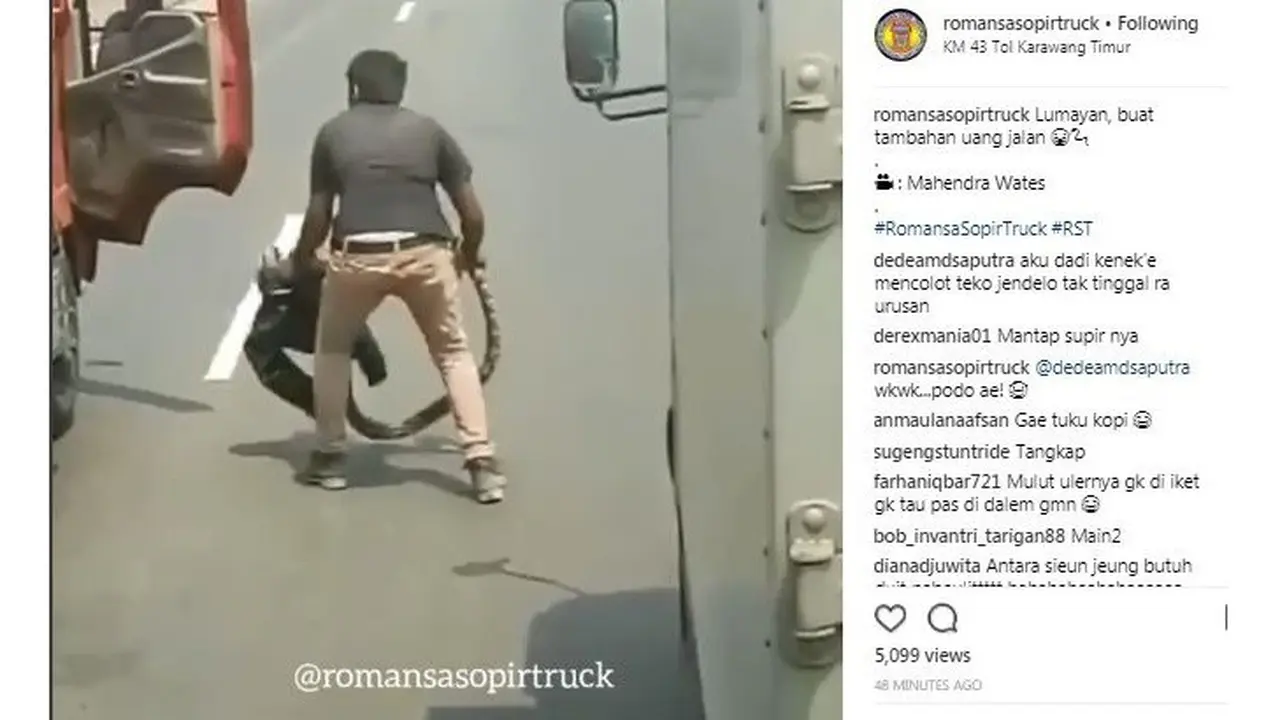 Sopir tangkap ular