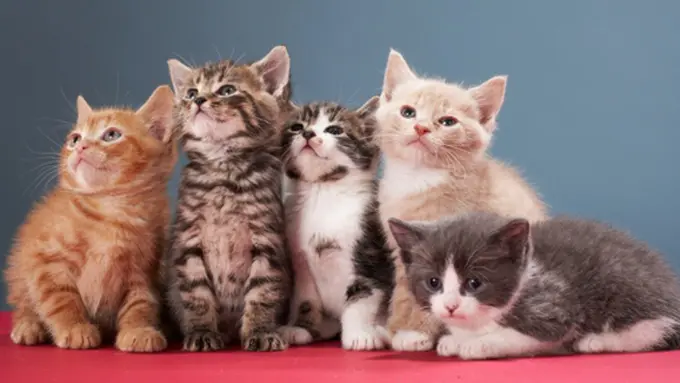 (c) thinkstockphotos