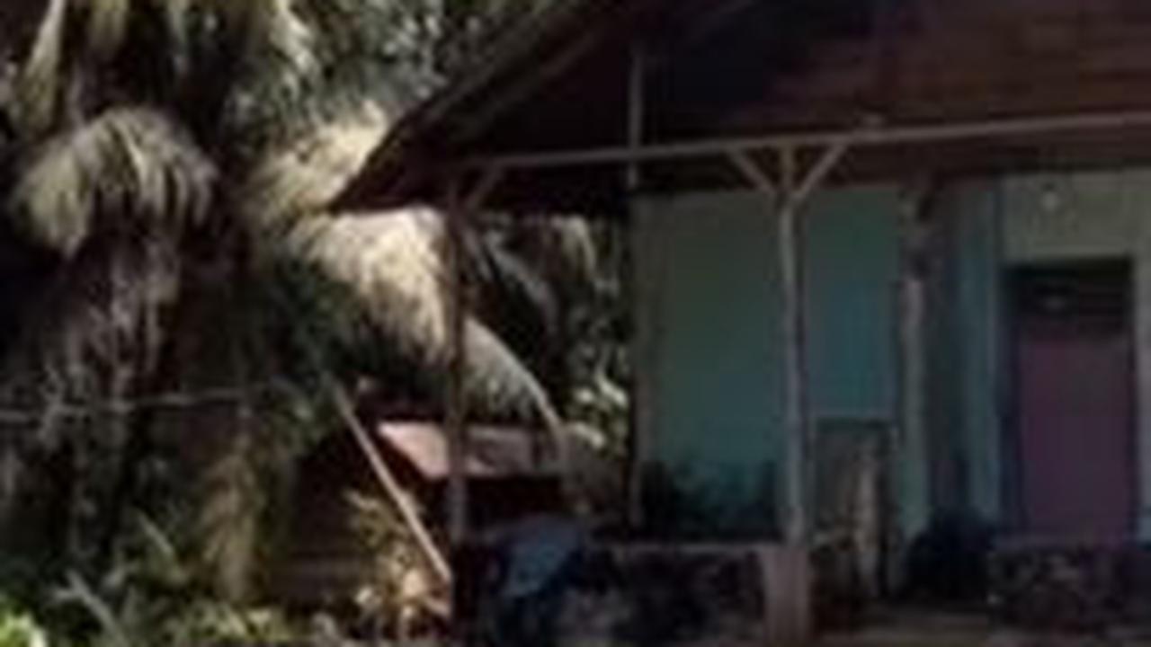 "Sebelum gempa rumahnya bagus, namun tidak dibangun ulang kembali," demikian dikutip dari keterangan video.&nbsp;