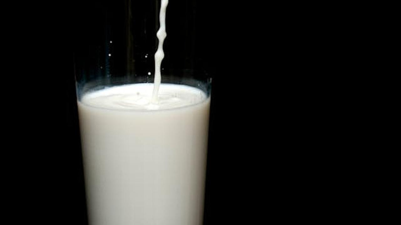 Manfaat Konsumsi Susu Murni yang Tidak Dimiliki oleh Jenis Susu Lainnya