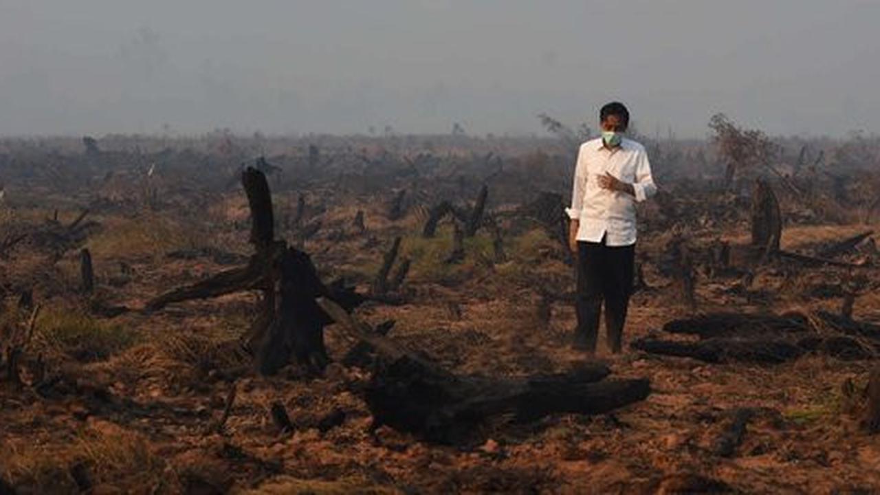 Terima bantuan Singapura, alasan Jokowi bukan kebakaran hutan biasa