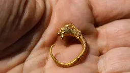 Arkeolog Israel menunjukkan anting emas langka yang ditemukan di situs arkeologi Kota Daud, Yerusalem Timur, Rabu (8/8). Anting berbentuk aneh ini menampilkan ornamen seperti hewan bertanduk. (MENAHEM KAHANA/AFP)