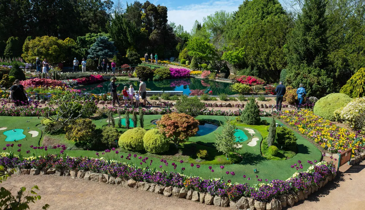 Sejumlah orang mengamati berbagai bunga dalam festival bunga tahunan Floriade di Canberra, Australia, pada 11 Oktober 2020. (Xinhua/Chu Chen)