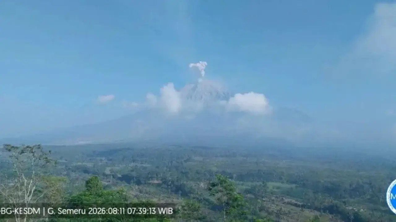 Semeru alami delapan kali erupsi, tinggi letusan capai 800 meter.