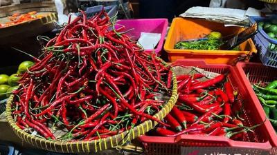 Harga Pangan Nasional: Cabai Rawit Merah Tembus Rp57 Ribu, Telur Ayam Stabil