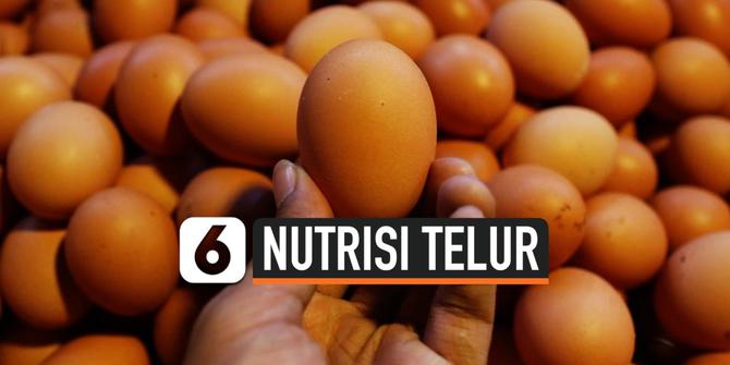 VIDEO: Mengenal Kandungan Nutrisi di Dalam Telur