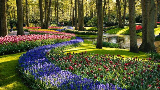 Keukenhof Floral Garden