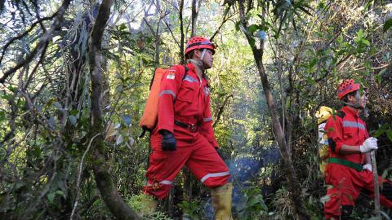 Tim SAR cari black box di semak-semak Gunung Salak