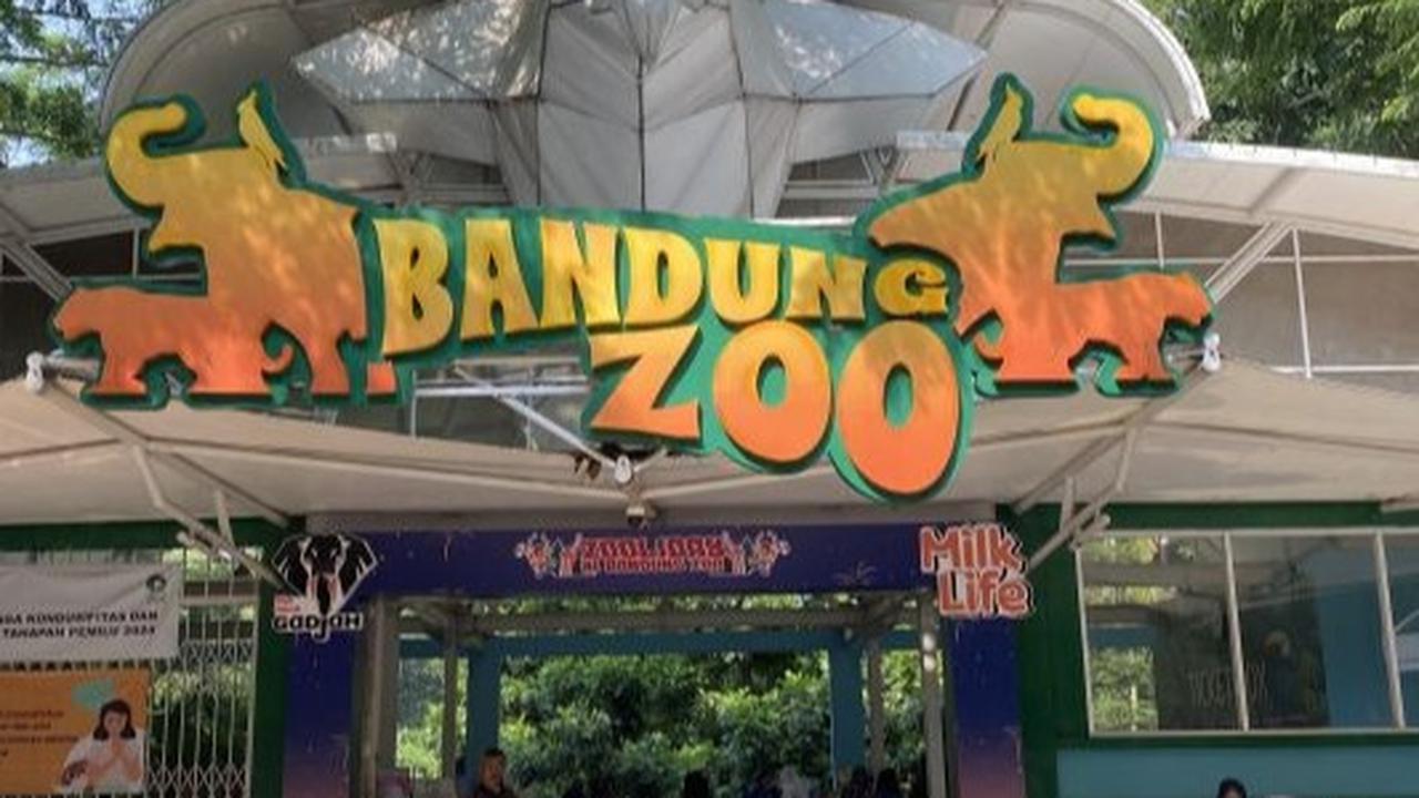 APECSI Sayangkan Pengelolaan Bandung Zoo Diserahkan ke KBS dan Ragunan, Ribuan Satwa Terancam?