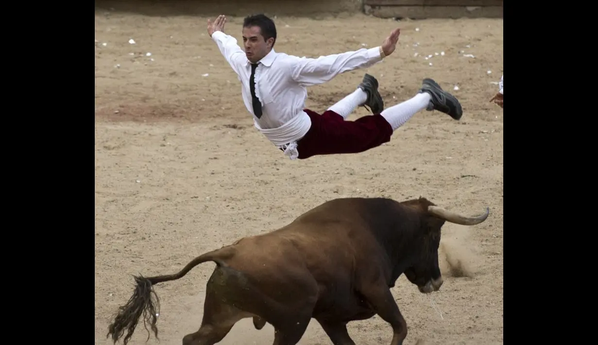  Seorang matador melompat di atas banteng di arena adu banteng Canaveralejo di Cali, Kolombia, Senin (21/12/2014). (AFP Photo/Luis Robayo)