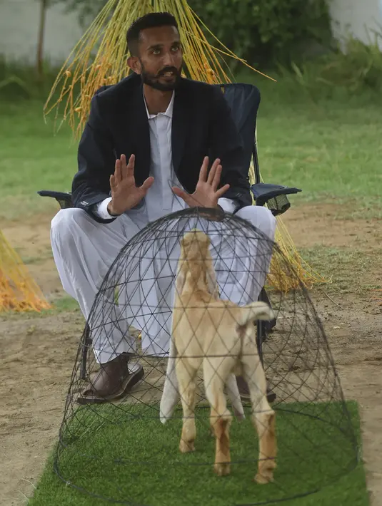 <p>Peternak Pakistan, Mohammad Hasan Narejo duduk di sebelah anak kambing Simba, selama wawancara dengan AFP di Karachi pada 6 Juli 2022. Telinga Simba begitu panjang sehingga Narejo harus melipat. telinga itu di atas punggungnya agar tidak terinjak sendiri. (Asif HASSAN / AFP)</p>