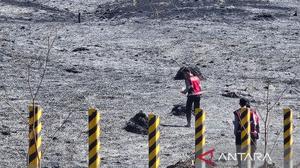 Kebakaran Bromo Meluas Drastis, 520 Hektare Kawasan TNBTS Terdampak