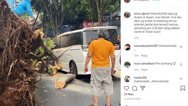 Mobil yang ditumpamgi Erros Djarot dan Slamet Rahardjo tertimpa pohon besar