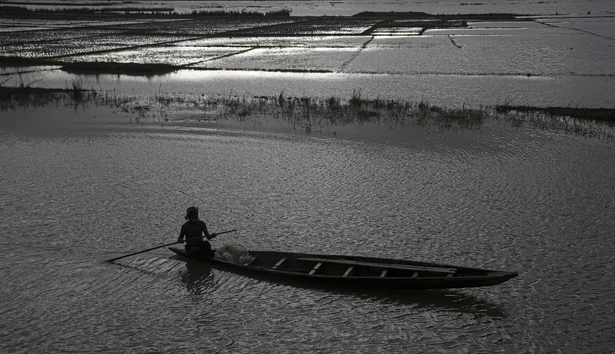 Seorang nelayan India mendayung perahu saat senja di air banjir surut di sawah di pinggiran Gauhati, India, Senin (14/9/2020). (AP Photo / Anupam Nath)