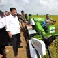  Presiden Joko Widodo melihat seorang petani melakukan panen padi di Desa Kedokan Gabus, Kecamatan Gabus Wetan, Kabupaten Indramayu, Rabu (18/3/2015). (Rumgrapres/Agus Suparto)