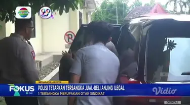 Rangkaian berita dan informasi terkini dalam Fokus Pagi edisi (09/01) dengan topik-topik di antaranya, Rumah Ambruk Akibat Tanah Longsor, Longsor di Tempat Wisata, Dua Orang Tewas, Puting Beliung Rusak Puluhan Bangunan, Banjir Rendam Permukiman.