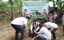 Pemkab Gunungkidul Salurkan Ribuan Bibit Kelapa Genjah, Perkuat Ekonomi Kerakyatan