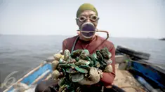 Supardi menunjukkan hasil tangkapannya berupa Kerang Hijau yang diambilnya di perairan pesisir Cilincing, Jakarta, Jumat (17/3). Supardi sudah menggeluti profesi sebagai nelayan kerang hijau selama 16 tahun. (Liputan6.com/Faizal Fanani)