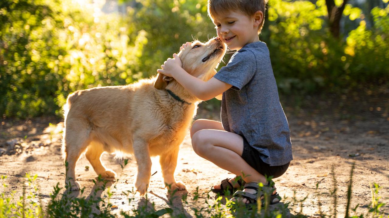 Kid and Dog