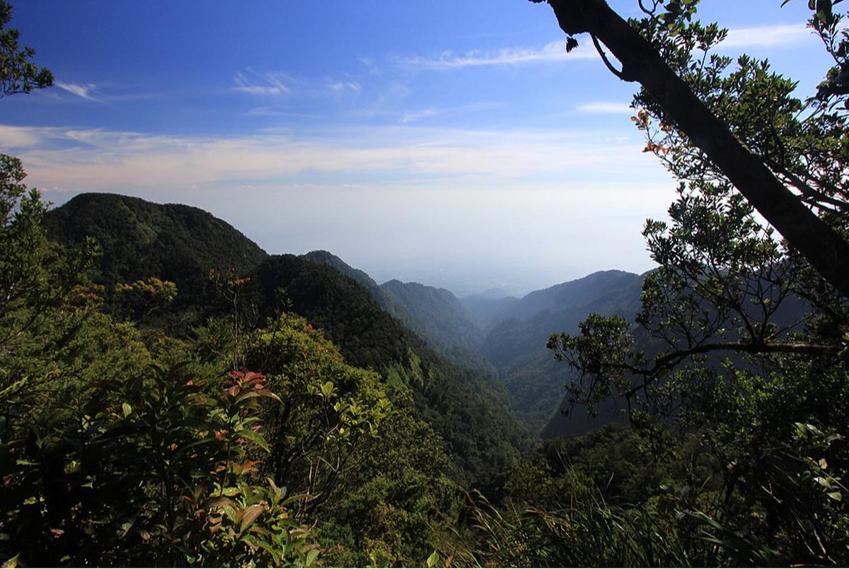 Gunung Halimun