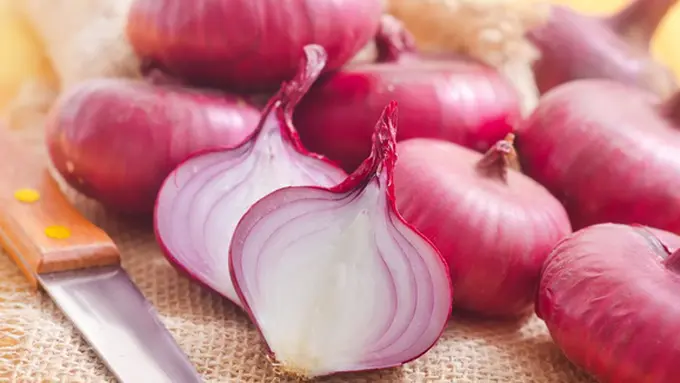 Foto: copyright thinkstockphotos.com