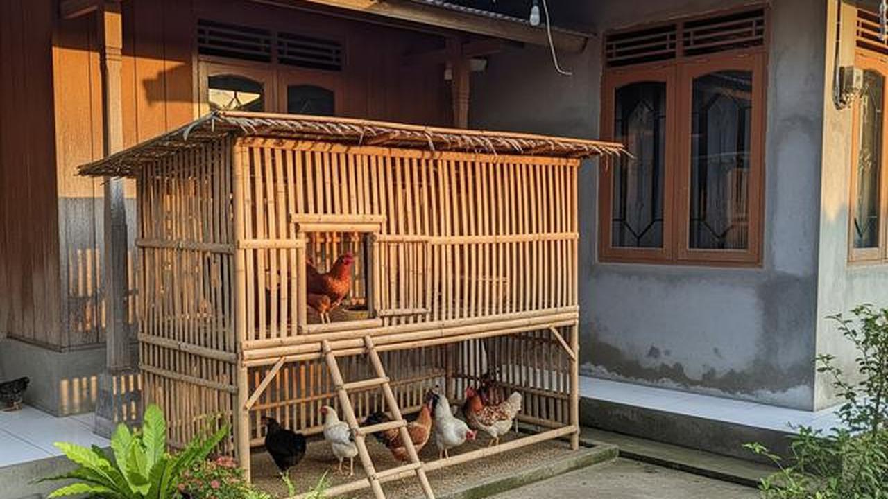 8 Ternak Modal Kecil Tanpa Kandang Besar, Tetap Cuan Meski Lahan Pas-pasan
