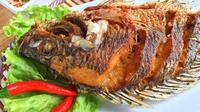 ilustrasi Resep Ikan Nila Goreng/copyright By pimpimon artkonghan (Shutterstock)