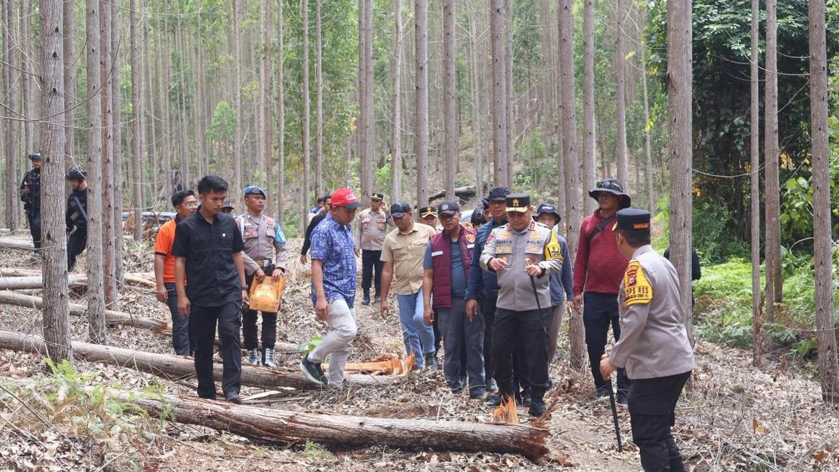 Miris! Gajah Sumatera Ditemukan Mati Tanpa Kepala di Riau, Pelaku Diburu