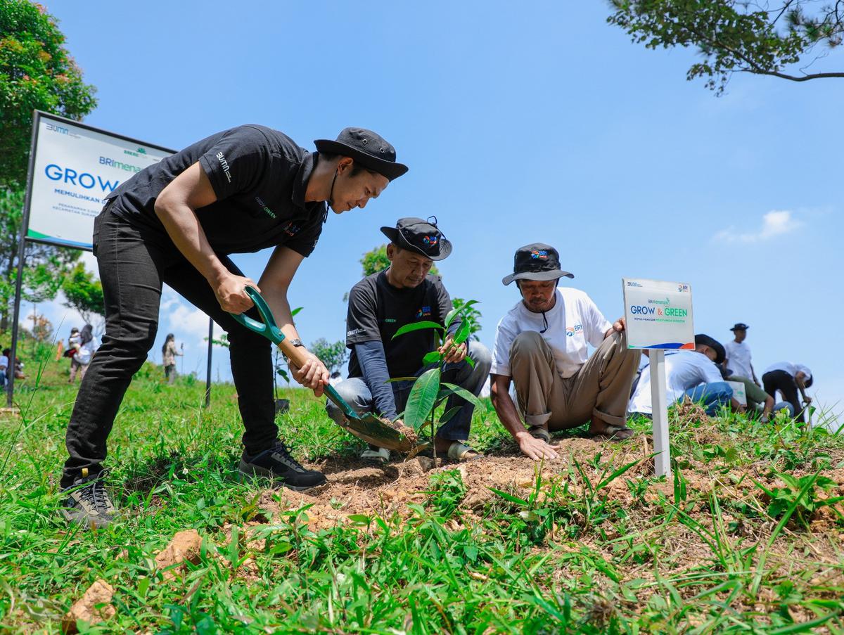 Aksi Nyata Kelompok Tani Mantan Penambang Pulihkan Hutan Melalui BRImenanam Grow & Green