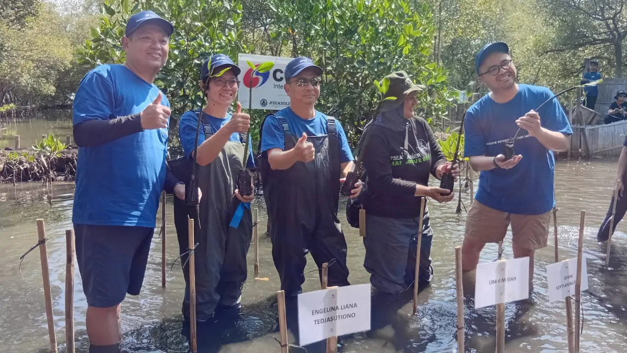 Mangrove Project Untuk Satu Bumi, Upaya Selamatkan Ekosistem Pesisir di 10 Area