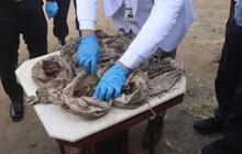 Misteri Puluhan Kain Pocong Berisi Tulang di Magelang Terungkap