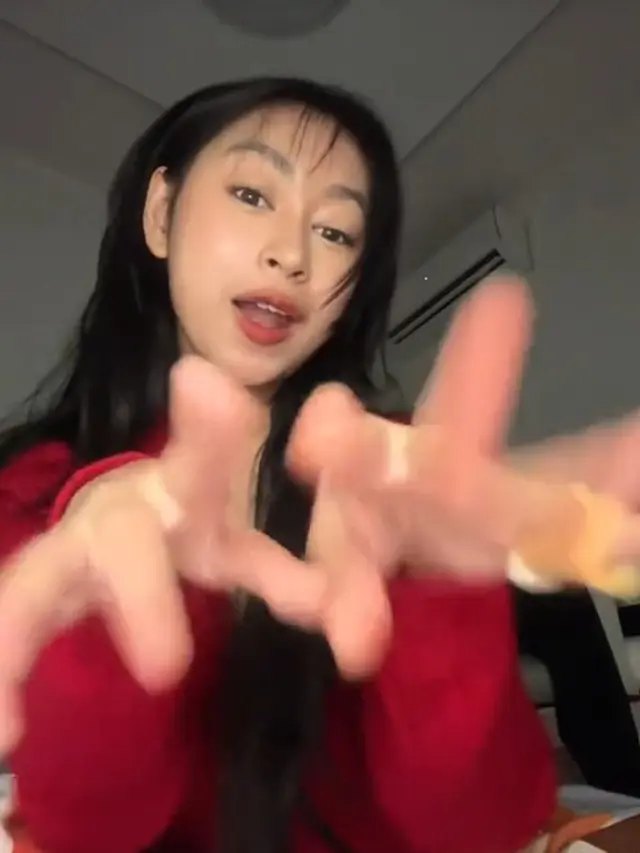 Adis (TikTok/@brachiokoo)